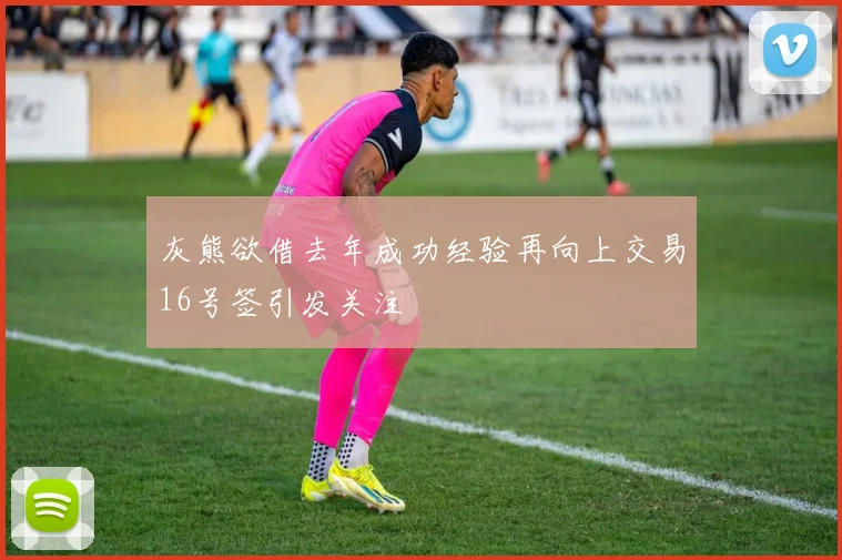 灰熊欲借去年成功经验再向上交易16号签引发关注
