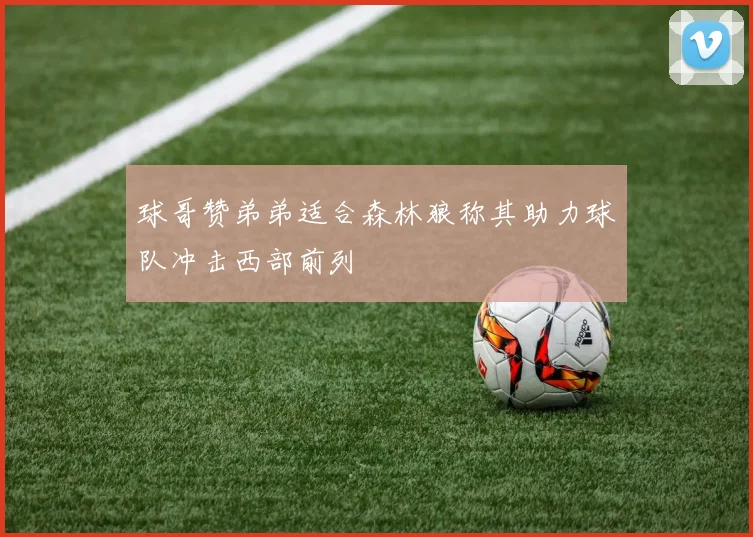 球哥赞弟弟适合森林狼称其助力球队冲击西部前列